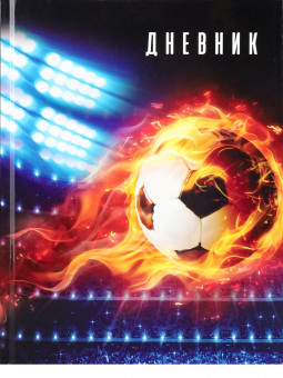 Дневник А5 48л 1-4 класс "Футбол новый", склейка, Проф-Пресс/4698381 (40)