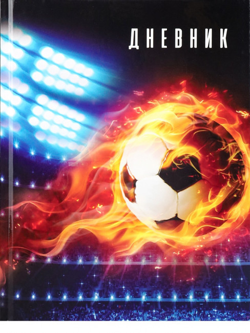 Дневник А5 48л 1-4 класс "Футбол новый", склейка, Проф-Пресс/4698381 (40)