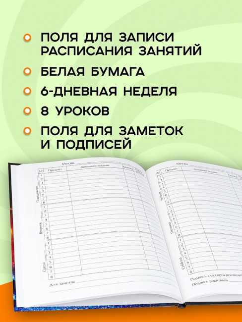 Дневник А5 48л 1-4 класс "Футбол новый", склейка, Проф-Пресс/4698381 (40)