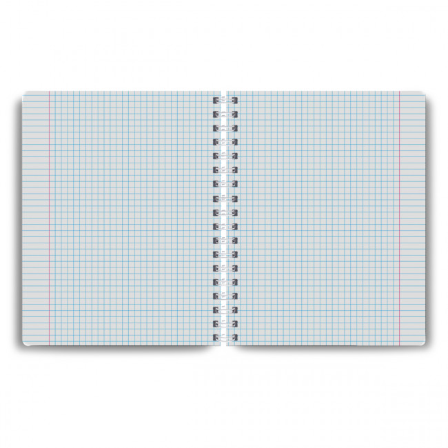 "Светоч"   Т119   Тетрадь-перевертыш ученическая общая,   A5   96 л.  на гребне   65 г/кв.м , белизна 100 %  .  клетка 01214 МИКС - Калейдоскоп сюжетов