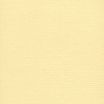 Бумага 30.5x30.5 см 216 г/кв.м для скрапбукинга "Ванильный сахар" св.желтый, 10л, Mr.Painter /PST №46 Бумага 30.5x30.5 см 216 г/кв.м для скрапбукинга "Ванильный сахар" св.желтый, 10л, Mr.Painter /PST №46