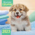Календарь ПК 2023г "Собаки", ПК-23-039 Календарь ПК 2023г "Собаки", ПК-23-039