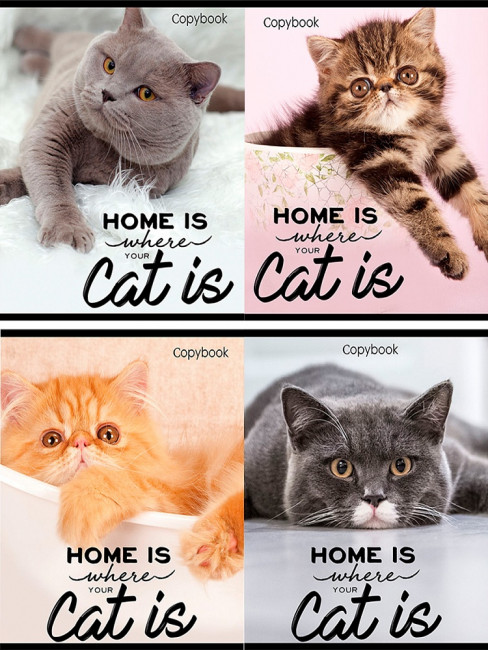 Тетрадь 96 клетка "Домашние коты" скрепка, Проф-Пресс/96-6450 (48)