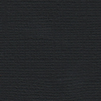 Бумага 30.5x30.5 см 216 г/кв.м для скрапбукинга "Вороной конь" чёрный, 10л, Mr.Painter /PST №36 Бумага 30.5x30.5 см 216 г/кв.м для скрапбукинга "Вороной конь" чёрный, 10л, Mr.Painter /PST №36