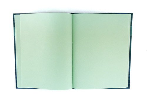 ББ5_7Бц120_лам 3601 Бизнес-блокнот (скетчбук) 120л. А5 "Для набросков" (ассорти) матовая ламинация, тонированный блок (салатовый)