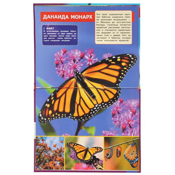 Энциклопедия с развивающими заданиями «Самые опасные насекомые». Формат: 197 х 255мм 48стр, Умка Энциклопедия с развивающими заданиями «Самые опасные насекомые». Формат: 197 х 255мм 48стр, Умка