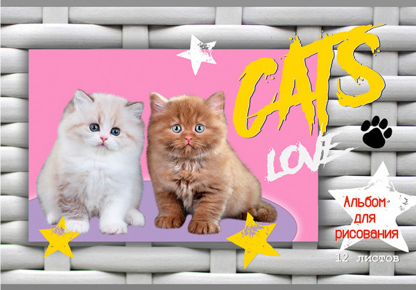 Альбом для рисования А4 12л. "Котик"