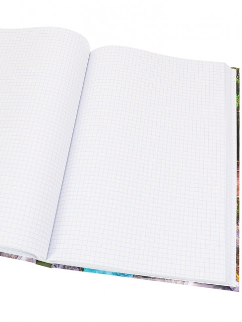 Записная книжка А4 200л клетка "Ущелье в лесу", 7БЦ, склейка, Проф-Пресс/200-5765 (6)