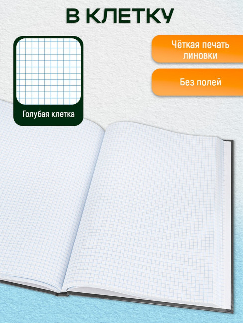 Книга учёта 200х298мм 96л клетка, скрепка, блок-офсет, графит, Проф-Пресс/96-9290 (10)