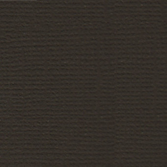 Бумага 30.5x30.5 см 216 г/кв.м для скрапбукинга "Горький шоколад" т.коричневый, 10л, Mr.Painter /PST №24 Бумага 30.5x30.5 см 216 г/кв.м для скрапбукинга "Горький шоколад" т.коричневый, 10л, Mr.Painter /PST №24