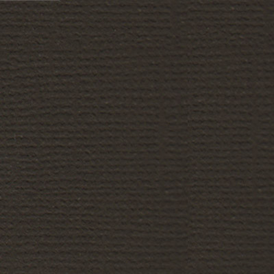 Бумага 30.5x30.5 см 216 г/кв.м для скрапбукинга "Горький шоколад" т.коричневый, 10л, Mr.Painter /PST №24