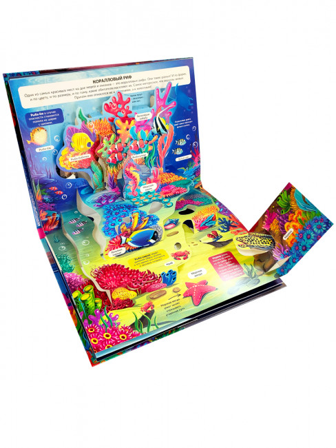 Энциклопедия- панорамка "Море" с объемными иллюстрациями. Формат: 26х20см 10стр, MaLaMaLaMa Энциклопедия- панорамка "Море" с объемными иллюстрациями. Формат: 26х20см 10стр, MaLaMaLaMa