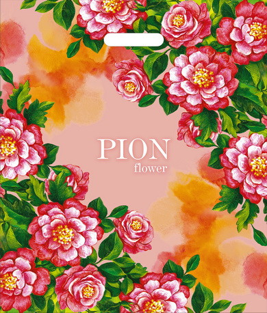 Пакет ПВД (40*47) 45 мкм "Впечатление" (50) Пакет ПВД (40*47) 45 мкм "Впечатление" (50)