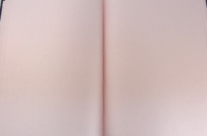 ББ4_7Бц80_лам 3597 Бизнес-блокнот (скетчбук) 80л. А4 "Golden stars" (ассорти) матовая ламинация, тонированный блок (розовый)