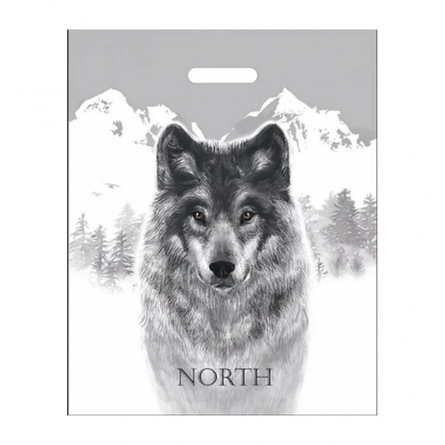 Пакет ПВД (40*50) 80 мкм "Север" (шт.)