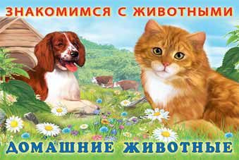 Книжка "Домашние животные" серия "Знакомимся с животными". Формат: 21 х 14 см 16стр, Фламинго/27667