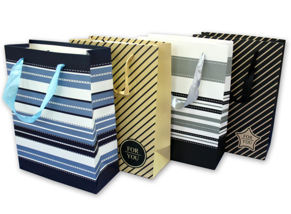 Пакет подарочный 18*24*8см в полоску (12)