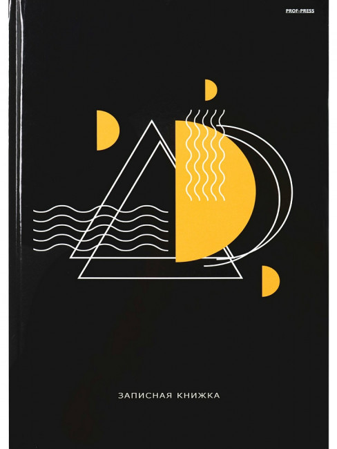 Записная книжка А4 96л клетка "Геометрические фигуры - 1", 7БЦ, склейка, Проф-Пресс/Б96-6744 (12)