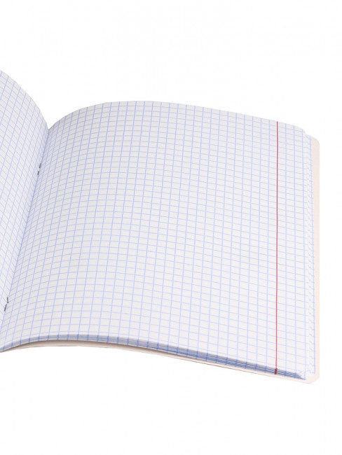 Тетрадь 96 клетка "Прибрежные виды" скрепка, Проф-Пресс/96-7919 (6/48)