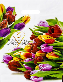 Пакет ПВД (31*40) 60 мкм "Этюд" (50)