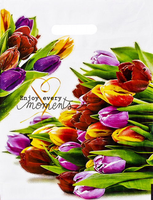 Пакет ПВД (31*40) 60 мкм "Этюд" (50)