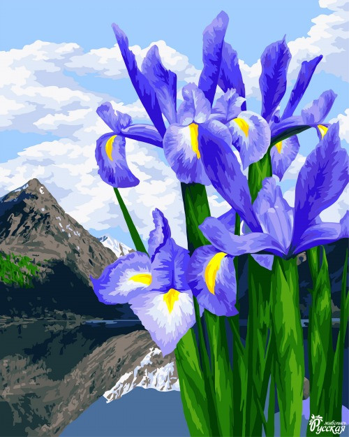 Набор для творчества "Рисование по номерам". B118 Цветы весны 40*50