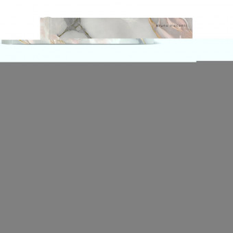 Тетрадь 80л  клетка "Carrara" на кольцах, со сменным блоком, BV/7-80-081/37 (16)