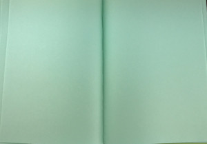 ББ4_7Бц80_лам 3598 Бизнес-блокнот (скетчбук) 80л. А4 "Карандаши" (ассорти) матовая ламинация, тонированный блок (салатовый)