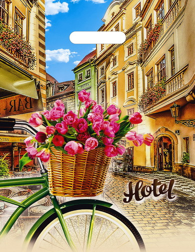 Пакет ПВД (31*40) 60 мкм "Отель" (50)