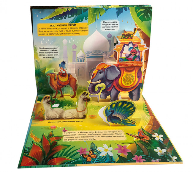 Энциклопедия- панорамка "Ферма" с объемными иллюстрациями. Формат: 26х20см 10стр, MaLaMaLaMa