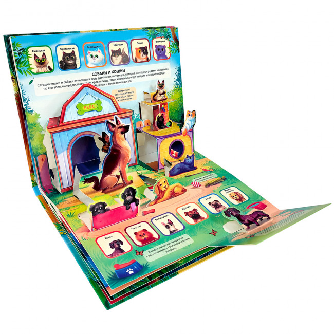 Энциклопедия- панорамка "Ферма" с объемными иллюстрациями. Формат: 26х20см 10стр, MaLaMaLaMa