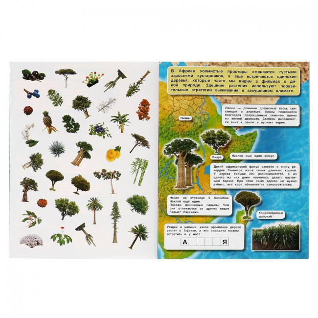 Развивающая активити «Атлас мира. Растения». Формат:210х285мм 8стр, Умка