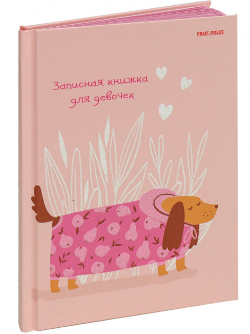 Записная книжка для девочек А6 80л линия "Весенняя прогулка", склейка, Проф-Пресс/80-7279 (20)
