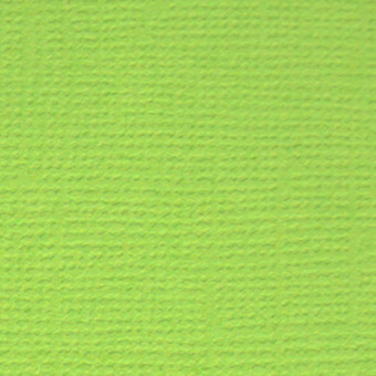 Бумага 30.5x30.5 см 216 г/кв.м для скрапбукинга "Зелёное яблоко" ярк.зелёный, 10л, Mr.Painter /PST №28 Бумага 30.5x30.5 см 216 г/кв.м для скрапбукинга "Зелёное яблоко" ярк.зелёный, 10л, Mr.Painter /PST №28