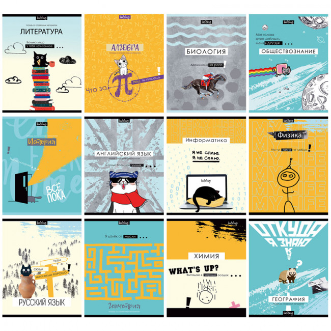 Комплект (12 шт.) предметных тетрадей 48л. BG "Kidding", эконом ТПК5ск48 10378