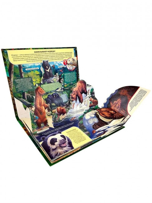 Энциклопедия- панорамка "Хищники" с объемными иллюстрациями. Формат: 26х20см 10стр, MaLaMaLaMa Энциклопедия- панорамка "Хищники" с объемными иллюстрациями. Формат: 26х20см 10стр, MaLaMaLaMa