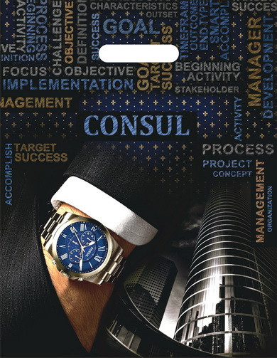 Пакет ПВД (31*40) 60 мкм "Консул" (50)