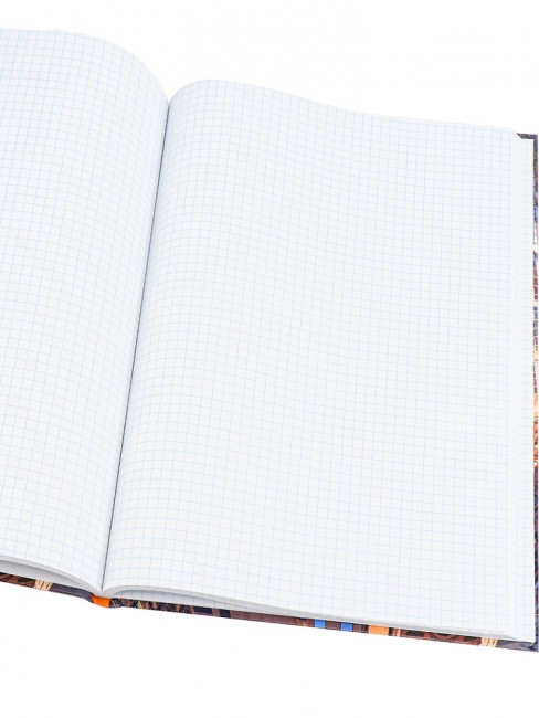Записная книжка А4 96л клетка "Небоскребы в лучах", 7БЦ, склейка, Проф-Пресс/96-5758 (12)