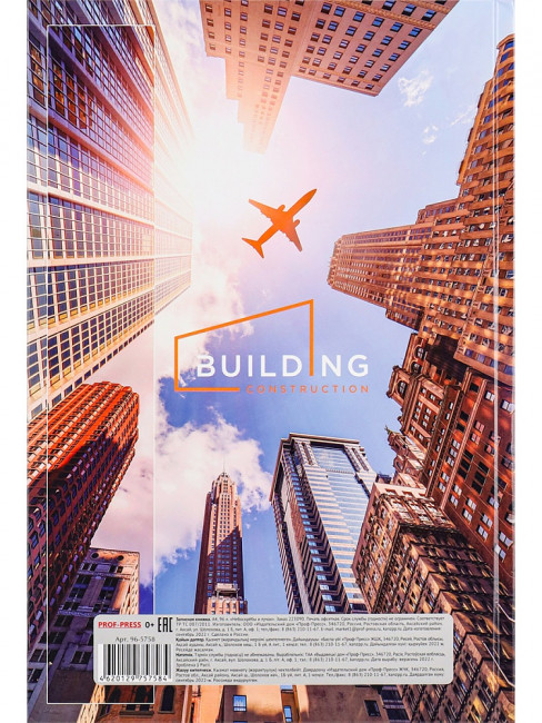 Записная книжка А4 96л клетка "Небоскребы в лучах", 7БЦ, склейка, Проф-Пресс/96-5758 (12)