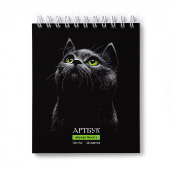 Артбук 175*200 мм 30л "Нуар", на гребне, блок чёрный, Светоч/А307_01942 (2/14)