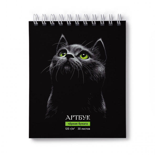 Артбук 175*200 мм 30л "Нуар", на гребне, блок чёрный, Светоч/А307_01942 (2/14) Артбук 175*200 мм 30л "Нуар", на гребне, блок чёрный, Светоч/А307_01942 (2/14)