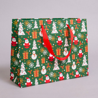 Пакет подарочный 30см х 23см, матовая ламинация, ассорти, Микрос/Ч54290 (12)