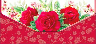 Конверт для денег, 90-120-c (10)