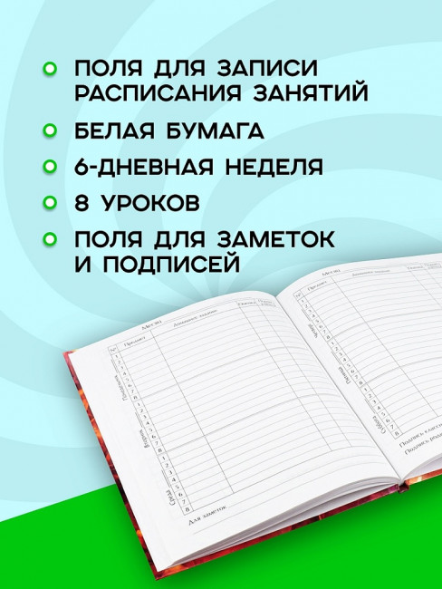 Дневник А5 48л 5-11 класс "Аниме. Парень", склейка, Проф-Пресс/10091286 (40)