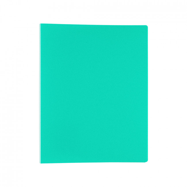 Папка А4 450мкр 15мм с пружинным скоросшивателем, песок, зеленый, Expert Complete/ЕС245453 (6)