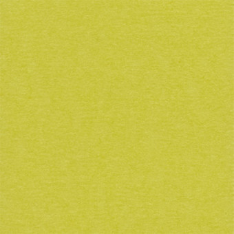 Бумага 30.5x30.5 см 216 г/кв.м для скрапбукинга "Зеленый чай" желто-зеленый, 10л, Mr.Painter /PST №45 Бумага 30.5x30.5 см 216 г/кв.м для скрапбукинга "Зеленый чай" желто-зеленый, 10л, Mr.Painter /PST №45