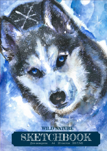 Скетчбук А5 "Абстрактность" (7БЦ, 80 л, на резинке, 100г ) 80-1675