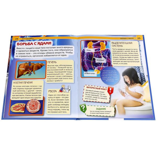 Энциклопедия с развивающими заданиями «Тело человека: 100 фактов». Формат: 165 х 215мм 48стр, Умка Энциклопедия с развивающими заданиями «Тело человека: 100 фактов». Формат: 165 х 215мм 48стр, Умка