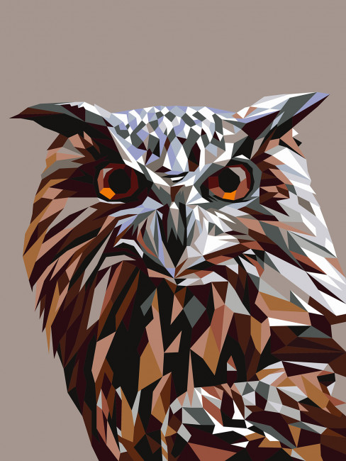 Картина по номерам 40 х 30см  "Геометрическая сова" на картоне, ФРЕЯ/PKZ/PM-036