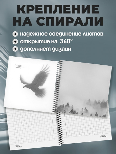 Записная книжка 158х158мм 48л клетка "Птица в тумане", на спирале, Проф-Пресс/48-6902 (20)